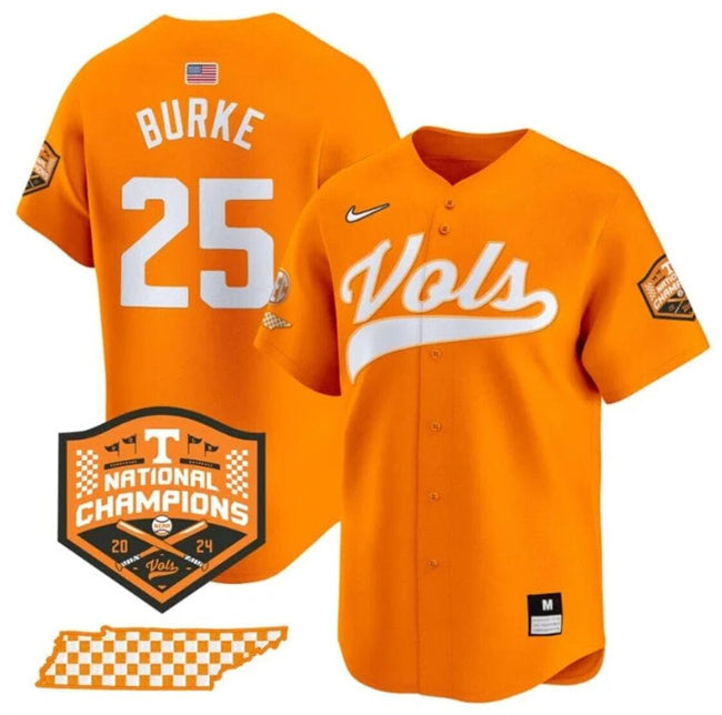 Blake Burke Tennessee Volunteers orange Vapor jersey