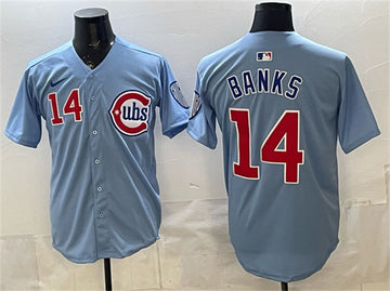 Ernie Banks Chicago Cubs blue Limited jersey