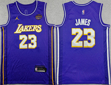 LeBron James Los Angeles Lakers purple jersey