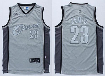 LeBron James Cleveland Cavaliers grey jersey