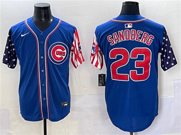 Ryne Sandberg Chicago Cubs royal jersey