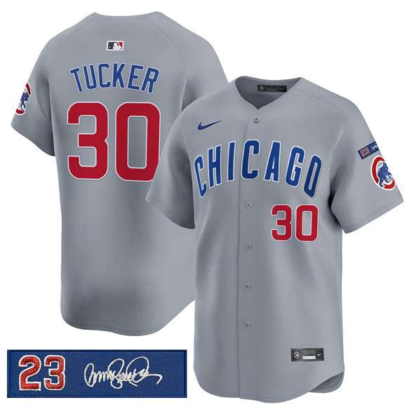 Kyle Tucker Chicago Cubs gray jersey