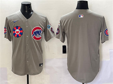 Custom Chicago Cubs gray jersey