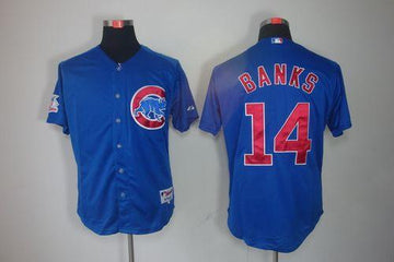 Ernie Banks Chicago Cubs blue jersey