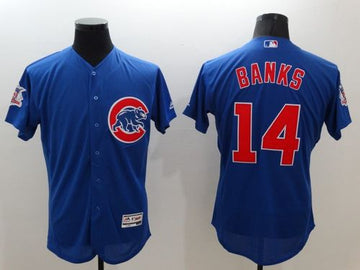 Ernie Banks Chicago Cubs blue Authentic jersey