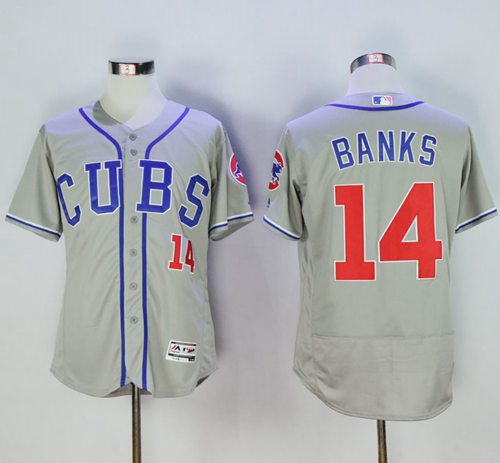 Ernie Banks Chicago Cubs grey Alternate jersey