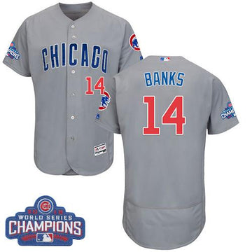 Ernie Banks Chicago Cubs grey Authentic jersey
