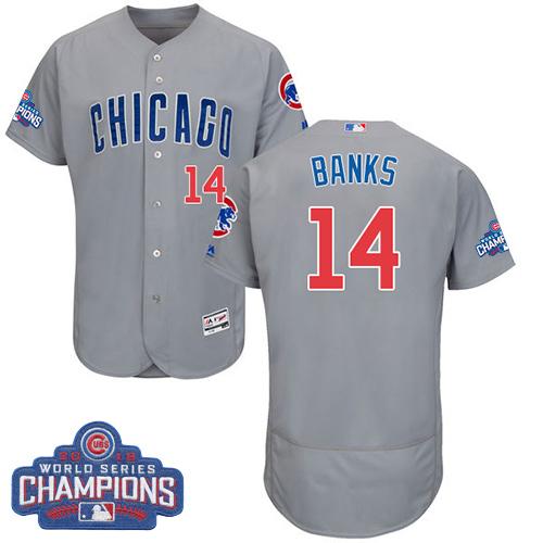 Ernie Banks Chicago Cubs grey Authentic jersey