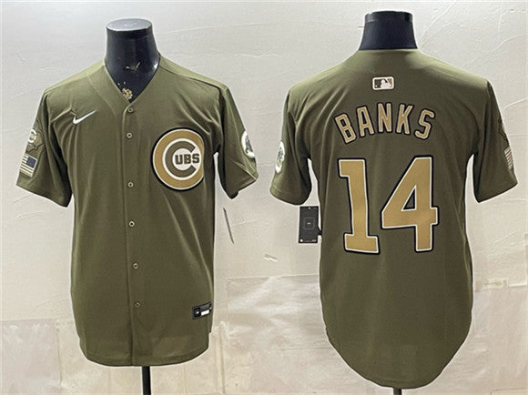 Ernie Banks Chicago Cubs royal Salute To Service jersey