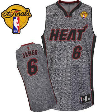 LeBron James Miami Heat grey Fashion Static jersey