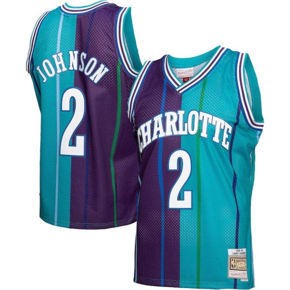 Larry Johnson Charlotte Hornets teal-purple Split jersey