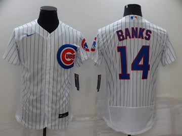 Ernie Banks Chicago Cubs white jersey