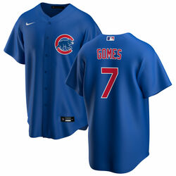 Yan Gomes Chicago Cubs blue jersey