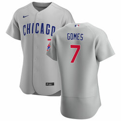 Yan Gomes Chicago Cubs gray jersey