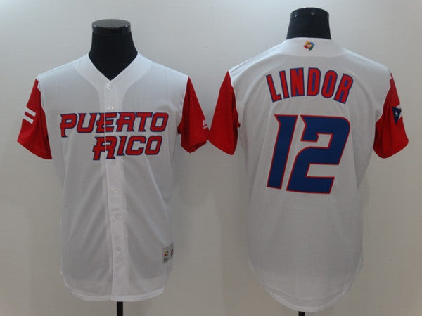 Custom Chicago Cubs white jersey