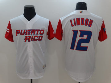 Custom Chicago Cubs white jersey