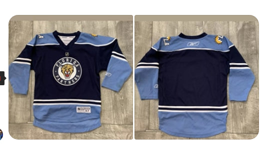 Florida Panthers jersey