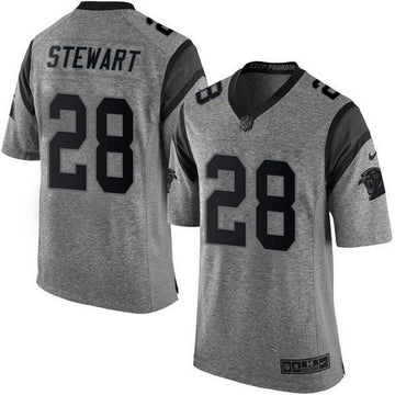 Jonathan Stewart Carolina Panthers gray jersey