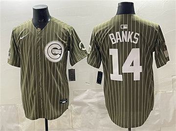 Ernie Banks Pinstripe Chicago Cubs olive Salute To Service jersey