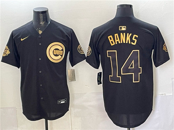 Ernie Banks Chicago Cubs jersey